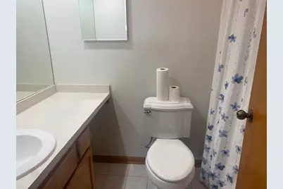 3433 Huntley Terrace, Crete, IL 60417 - Photo 15