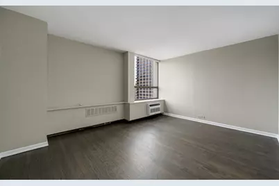 1455 N Sandburg Terrace #1802, Chicago, IL 60610 - Photo 11