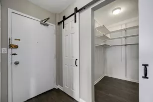 1455 N Sandburg Terrace, Chicago, IL 60610 - Photo 13