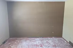 326 S Minerva Ave, Glenwood, IL 60425 - Photo 13