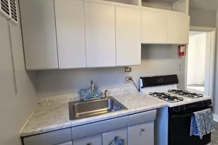 2044 E 72nd Pl, Chicago, IL 60649 - Photo 9