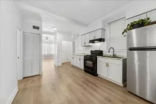 617 W 43rd Pl, Chicago, IL 60609 - Photo 17