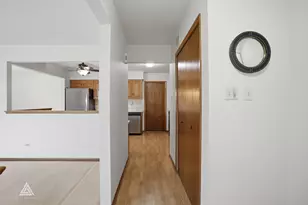 10815 Minnesota Ct, Orland Park, IL 60467 - Photo 7