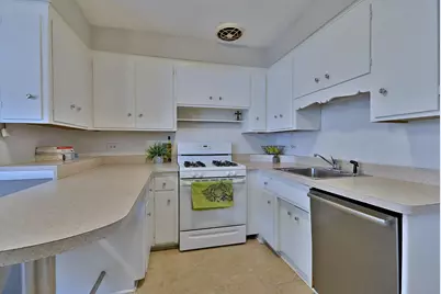 815 S Lincoln Avenue, Park Ridge, IL 60068 - Photo 5