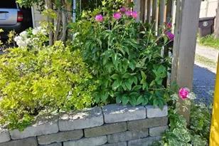 7742 Kolmar Ave, Skokie, IL 60076 - Photo 39