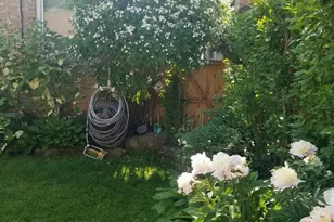 7742 Kolmar Ave, Skokie, IL 60076 - Photo 41