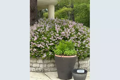 2705 Bentley Road, Highland Park, IL 60035 - Photo 41