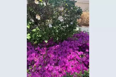 2705 Bentley Road, Highland Park, IL 60035 - Photo 47