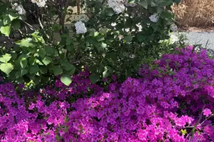 2705 Bentley Rd, Highland Park, IL 60035 - Photo 47