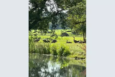 3197 S Baileyville Road, Freeport, IL 61032 - Photo 17