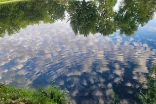 3197 S Baileyville Rd, Freeport, IL 61032 - Photo 23