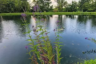 3197 S Baileyville Rd, Freeport, IL 61032 - Photo 21