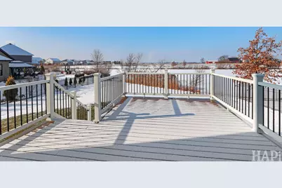 24010 S Mary Street, Manhattan, IL 60442 - Photo 47