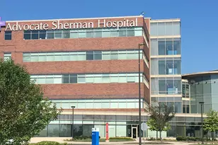 274 Snowdrop Ln, Elgin, IL 60124 - Photo 43