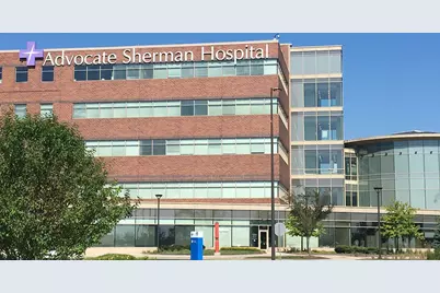 272 Snowdrop Lane, Elgin, IL 60124 - Photo 53