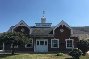 278 Snowdrop Ln, Elgin, IL 60124 - Photo 43