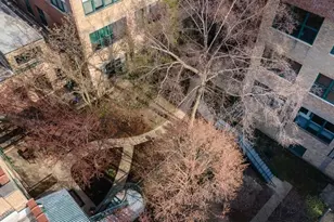 601 Linden Pl, Evanston, IL 60202 - Photo 19