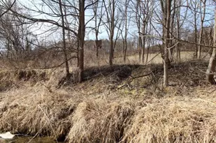 [Address not provided], Mount Carroll, IL 61053 - Photo 33