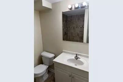 335 E Mulberry Drive, Glenwood, IL 60425 - Photo 11