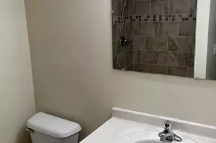 335 E Mulberry Dr, Glenwood, IL 60425 - Photo 11