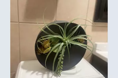 5133 W Wrightwood Avenue #1, Chicago, IL 60639 - Photo 11