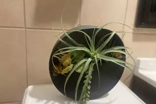 5133 W Wrightwood Ave, Chicago, IL 60639 - Photo 11