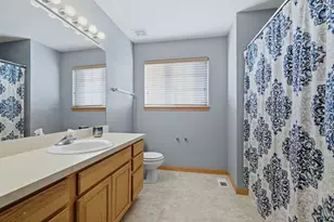 25548 S Mallard Dr, Channahon, IL 60410 - Photo 17