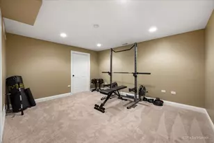 39691 Orchard Bluff Ln, Wadsworth, IL 60083 - Photo 33