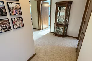 17362 Brook Hill Dr, Orland Park, IL 60467 - Photo 19