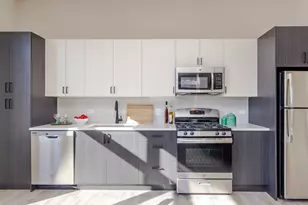 1502 W Ainslie St, Chicago, IL 60640 - Photo 5