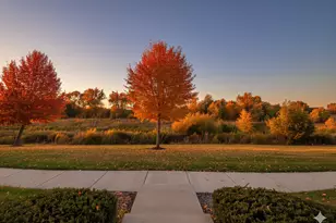 [Address not provided], Elgin, IL 60124 - Photo 19