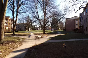 809 S Dwyer Ave, Arlington Heights, IL 60005 - Photo 3