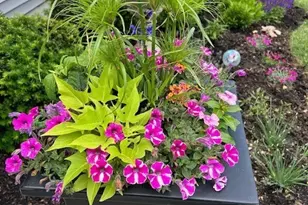 320 Sussex Ln, North Aurora, IL 60542 - Photo 23