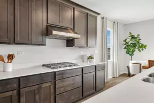 283 Snowdrop Ln, Elgin, IL 60124 - Photo 9