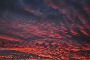 204 Lakeshore Dr, Crystal Lake, IL 60014 - Photo 47