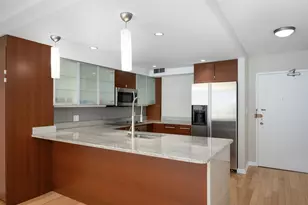 30 E Elm St, Chicago, IL 60611 - Photo 9