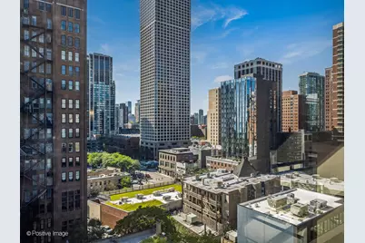 30 E Elm Street #14E, Chicago, IL 60611 - Photo 17