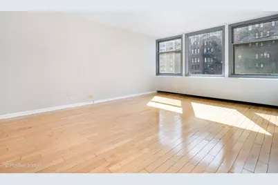 30 E Elm Street #14E, Chicago, IL 60611 - Photo 5