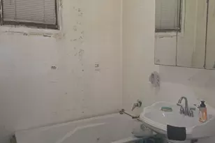 5914 S Princeton Ave, Chicago, IL 60621 - Photo 13