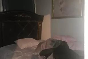 5914 S Princeton Ave, Chicago, IL 60621 - Photo 9