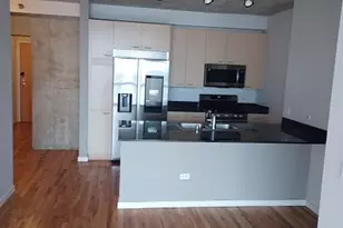 1845 S Michigan Ave, Chicago, IL 60616 - Photo 3