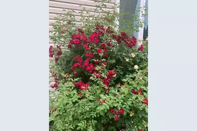 1616 Stanton Lane, Plainfield, IL 60586 - Photo 35