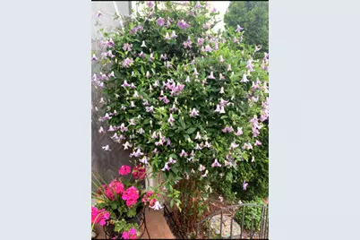 1616 Stanton Lane, Plainfield, IL 60586 - Photo 31