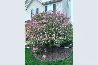 1616 Stanton Lane, Plainfield, IL 60586 - Photo 29