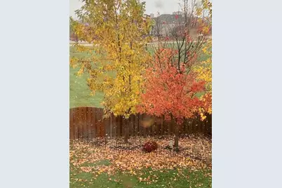 1616 Stanton Lane, Plainfield, IL 60586 - Photo 37