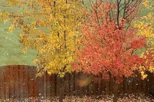 1616 Stanton Ln, Plainfield, IL 60586 - Photo 37