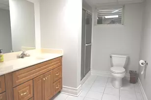 3407 Springdale Ave, Glenview, IL 60025 - Photo 45