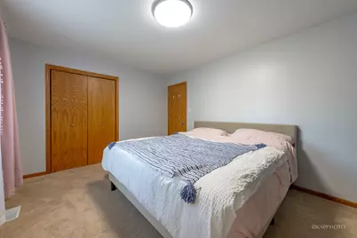 20052 S Sycamore Drive, Frankfort, IL 60423 - Photo 15