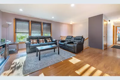 20052 S Sycamore Drive, Frankfort, IL 60423 - Photo 3