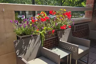 1430 N La Salle Dr, Chicago, IL 60610 - Photo 15